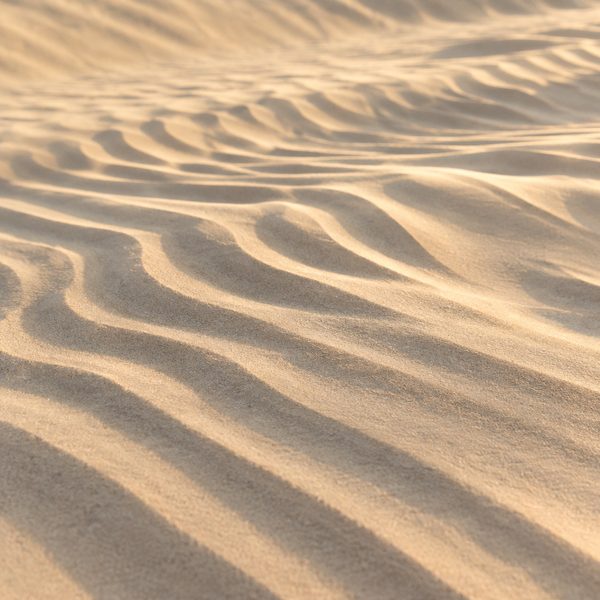 Sand ripples